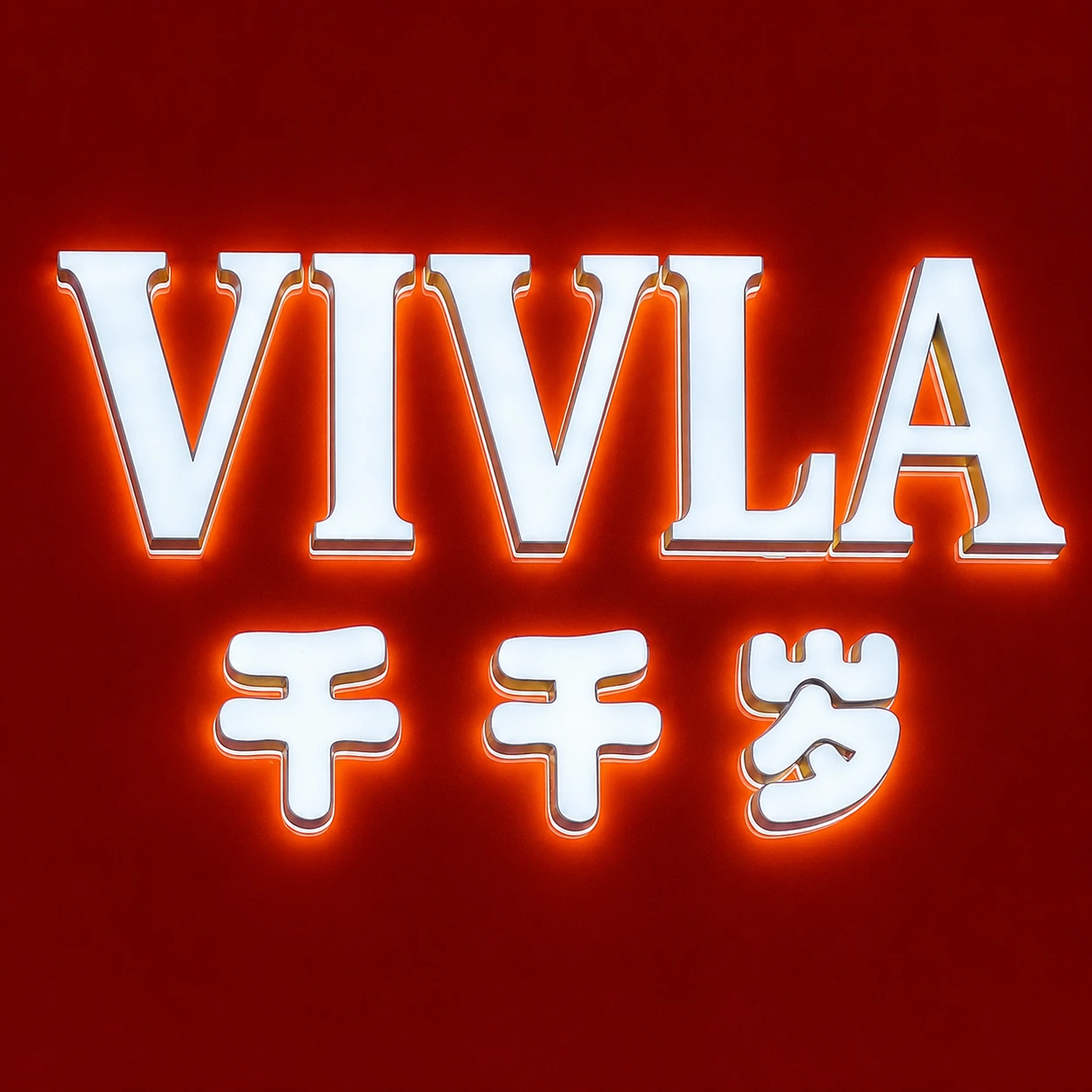Vivla Bag